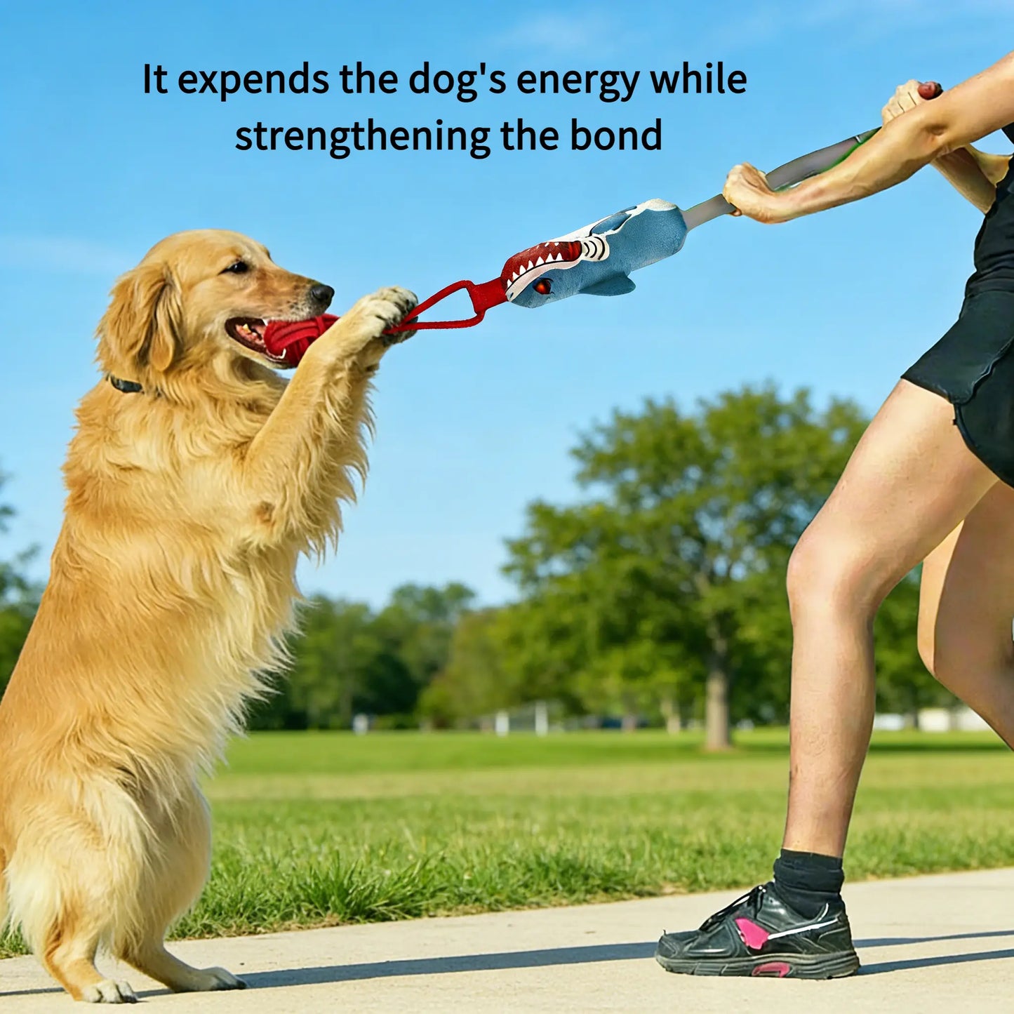 Interactive Dog Tug Toy, (Interactive Only • Not a Chew Toy • No Unattended Play)Tug of War Tough Squeaky Dog Rope Toys Teeth Cleaning, Conserve Dog'S Energy and Strengthen Bond with Master for Outdoor & Indoor Playtime , Dog Toy for Small & Medium Dogs D